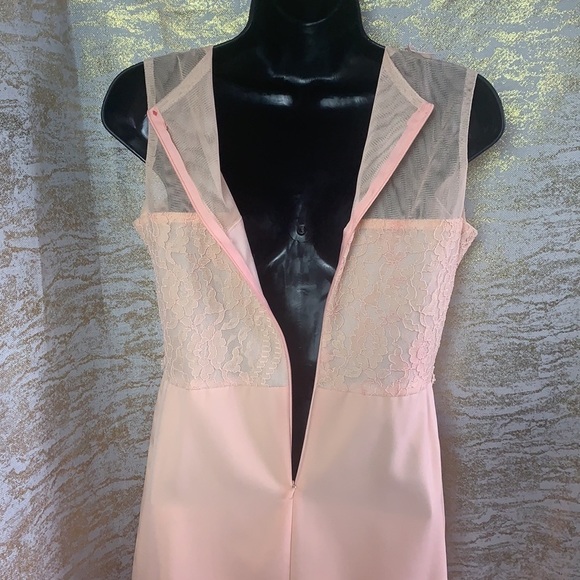 Hanieh Light Pink Evening Lace And Embroidered Midi Dress Size 3 - Picture 8 of 12